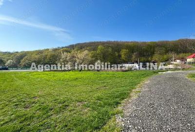 Teren intravilan 6.516 mp in Deva, prelungire str. Vulcan, spre Almas, Jud. Hunedoara. - 11