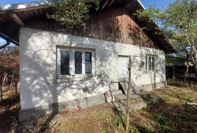 Casă cu 3 camere cu Teren 496 Mp în Vest