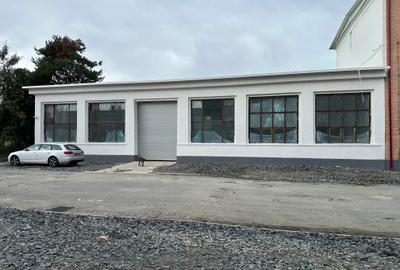 Spațiu industrial, de 10,321 mp, în Mârșa - 2
