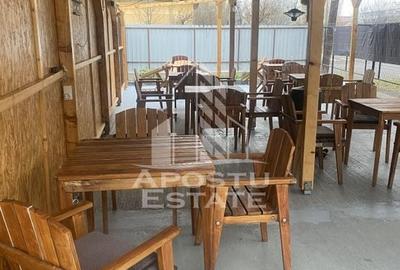 Casa unifamiliala in Timisoara,cu spatiul comercial - 4