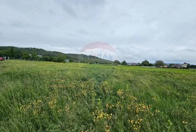 Teren de 1495 mp, în Dobreni - 7