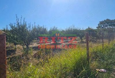 Teren de 56800 mp, în Fărcașele - 18