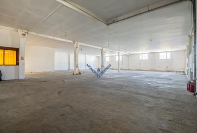 Spațiu industrial - Hală Oligopol - 6