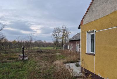 Casă cu 4 camere în Central