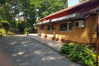 Spațiu comercial, de 240 mp, în Caransebeș - 4
