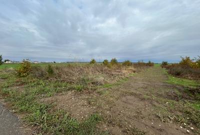 Darvari Ciorogarla Str Tineretului 2 loturi 500 mp zona in dezvoltare - 13