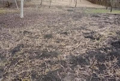 Casa de vanzare comuna Calarasi jud Cluj Casa de vanzare comuna Calarasi jud Cluj - 4