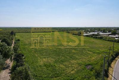 | TEREN INVESTITIE | 10Ha ADUNATII-COPACENI | AEROPORT | - 8