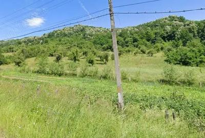 Teren în Stoenești - 4