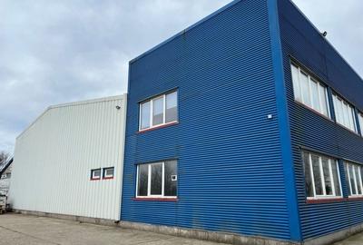 Spatiu de depozitare si productie Iuliul Maniu - 6