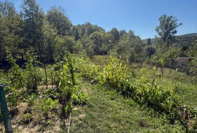 Casă cu 3 camere cu Teren 1027 Mp în Central - 2