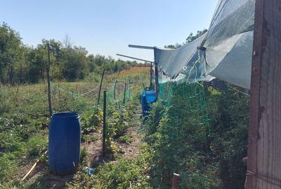 Vanzare teren Saftica strada Calea Bucuresti - 3