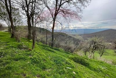 Teren agricol extravilan de 48428 mp, în Laz (Vințu de Jos) - 2