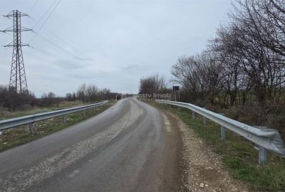 Teren de 7900 mp, în Ulmi - 2