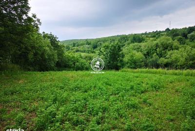 Spațiu comercial, în Grajduri - 3