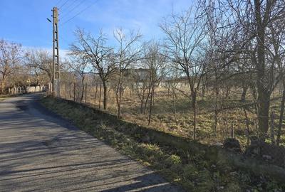 Casă cu 6 camere cu Teren 1400 Mp în Chitid - 7