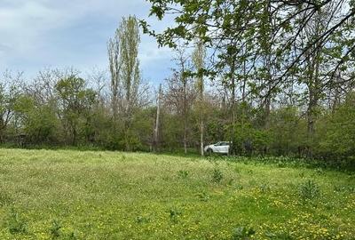 Teren Construcții intravilan de 2250 mp, în Borănești - 4