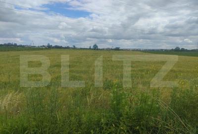 Teren extravilan, 6600 mp, Radauti - 6