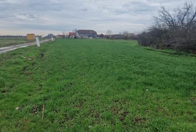Teren Construcții intravilan de 1000 mp, în Exterior Est - 7