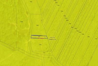 Teren de 400 mp, în Șotânga - 3