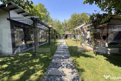 Casă cu 5 camere cu Teren 1307 Mp în Romanești - 14