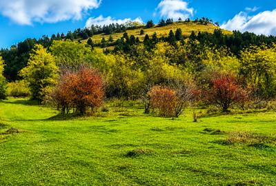 Teren agricol intravilan de 16000 mp, în Călățele - 7