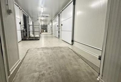 Spațiu industrial, de 100 mp, în Nufărul - 3