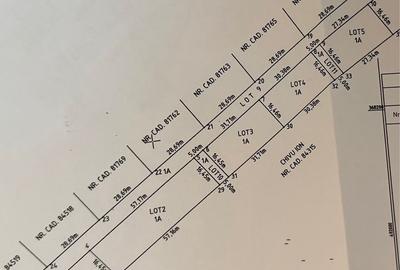 Teren de 1100 mp, în Bradu - 1