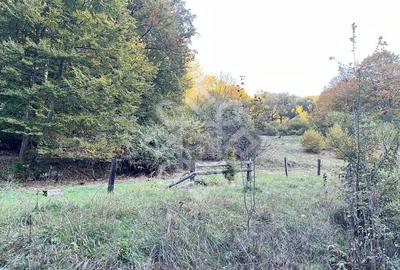 Teren pentru casa de vacanta pe Valea Bratcutei, Bihor - 12