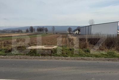 Teren de 1600 mp, în Central