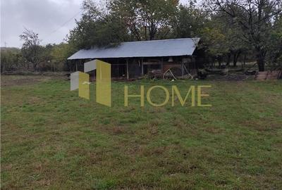 Casă cu 4 camere cu Teren 11250 Mp în Teișani - 14