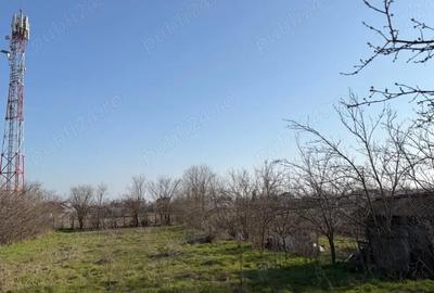 Casă cu 5 camere cu Teren 1375 Mp în Orbeasca - 3