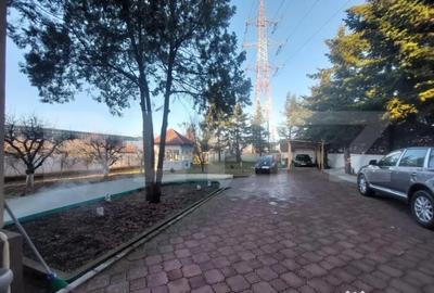 Casă cu 7 camere cu Teren 3800 Mp în Albert - 15