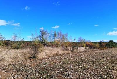 TEREN INTRAVILAN ȘI EXTRAVILAN BAIA DE FIER - 4