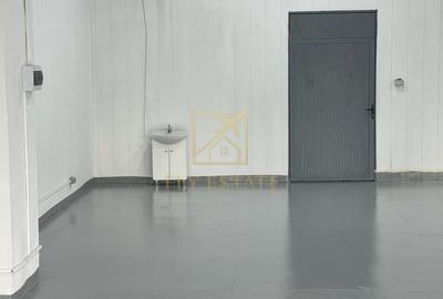 Spațiu industrial, de 180 mp, în Theodor Pallady - 11