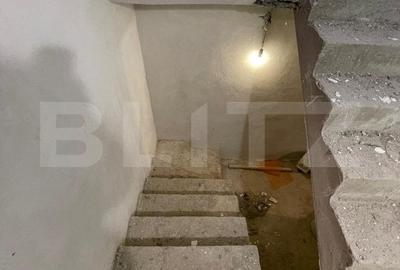 Casa Ghercesti, P+M, 262 mp, deschidere 32.93m, teren 1062 mp - 19