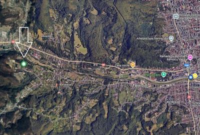 PADURE LANGA ORAS, ACCES BUN, IDEALA PENTRU ACTIVITATI DE AGREMENT - 3