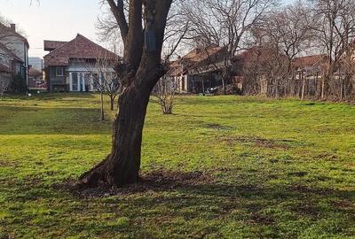 Casă cu Teren 1033 Mp în Central - 1