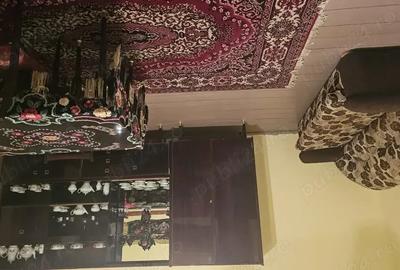 Casă cu 6 camere cu Teren 4000 Mp în Vrani - 8