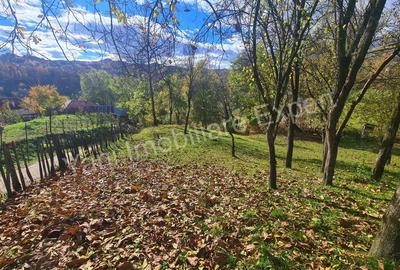 Teren de vanzare in comuna Arefu, jude? Arge?. - 18