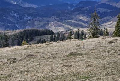 Spațiu comercial, în Dâmbovicioara - 3