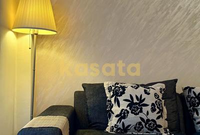 Apartament cu 2 camere semidecomandat în Iancului - 3