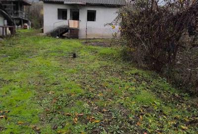 Gospodarie in Jud. Valcea, com. Pe?ceana, sat Ursoaia, 2 case ?i anexe - 4