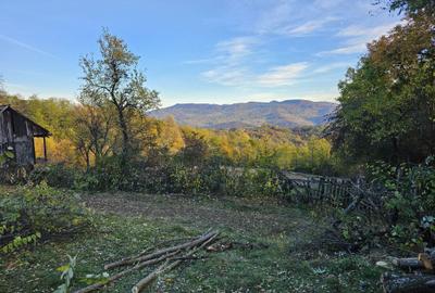 Spațiu comercial, în Central - 3