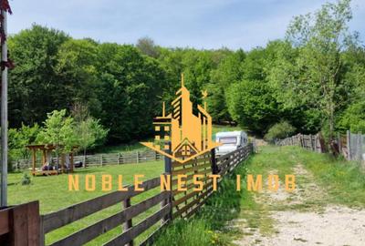 Teren extravilan 2200 mp - Budeasa Mica, Arge?, COMISION 0. - 13