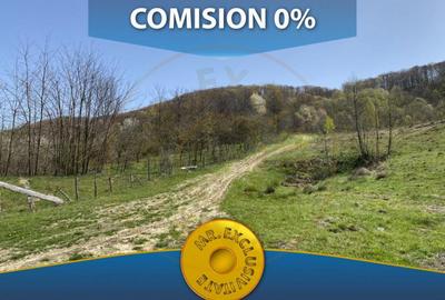 Teren 13.000 mp zona de deal - Aninoasa AG - 4