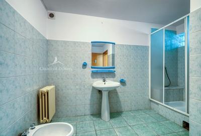 Domenii - Spatiu de birouri, 109 mp, 4 camere - 10