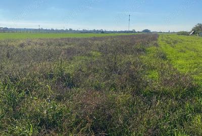 Teren de 10198 mp, în Bujac