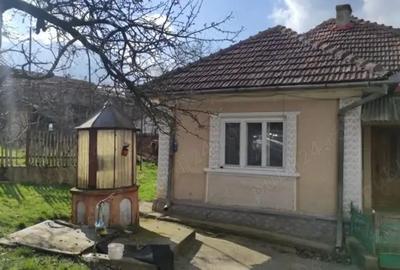 Gospodarie de vanzare in Oarta De Jos cu anexe si 49 ari teren - 7