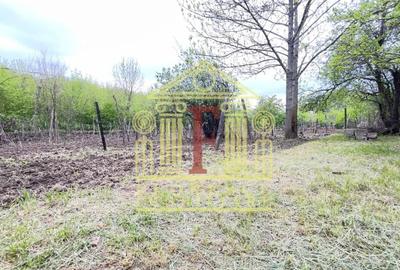 Teren Construcții intravilan de 3200 mp, în Rusenii Vechi - 8